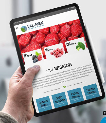 Val-Mex Frozen Foods, LLC. web design