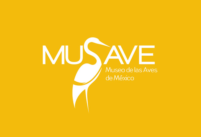 Musave Museo de las Aves de Mexico Branding