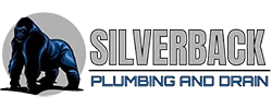 home 35 SEO Services for Silverback Plumbing and Drain San Antonio