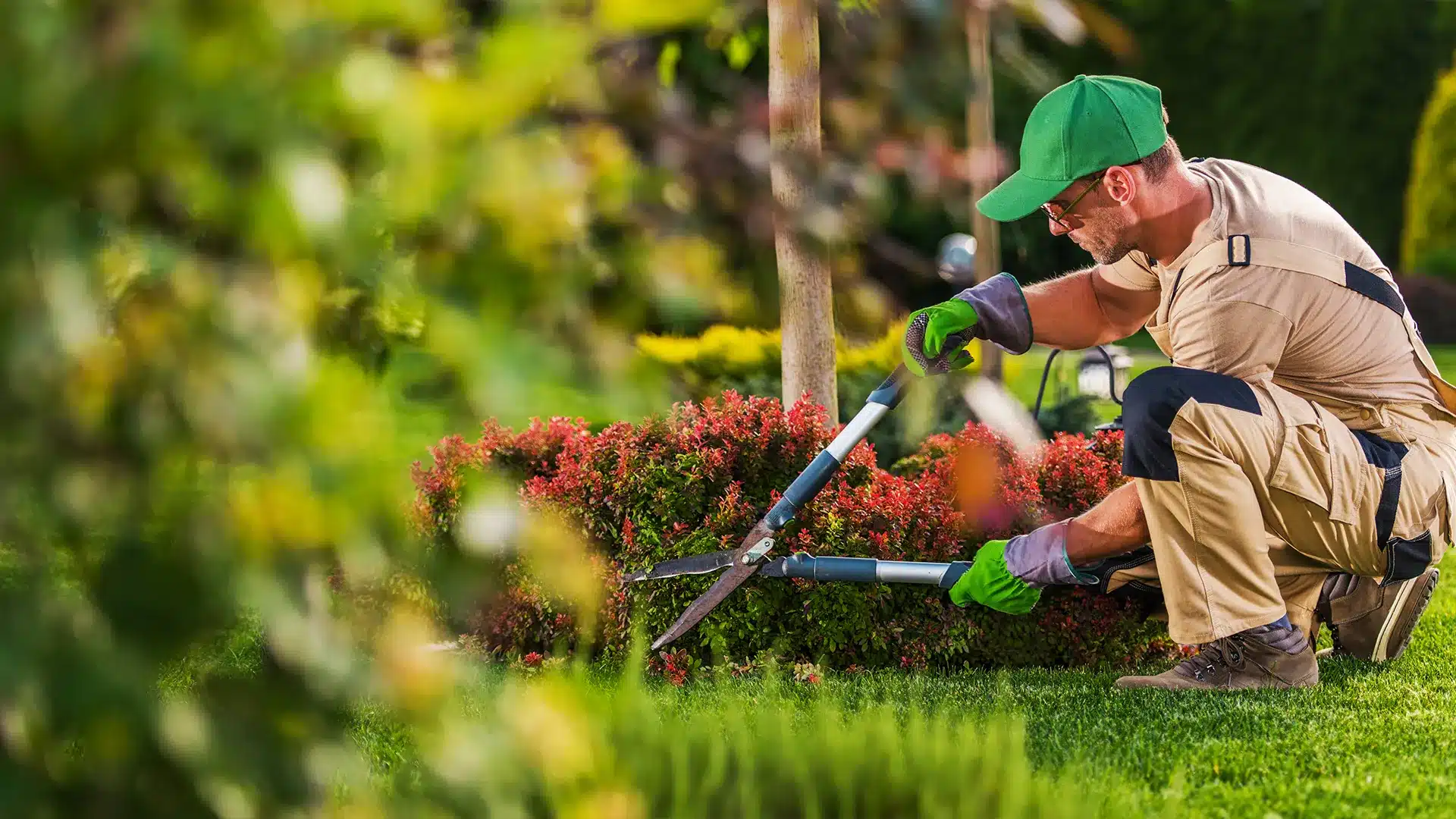 Digital Marketing for Landscaping Companies 1 Landscaping SEO in San Antonio